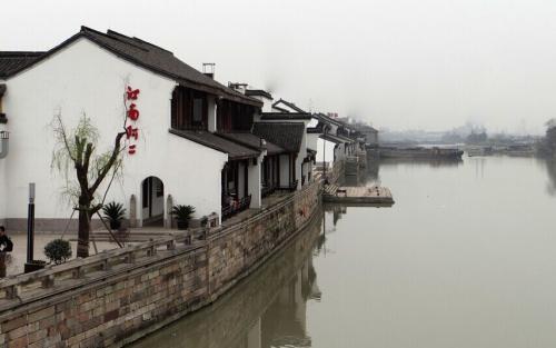 拯救枯树